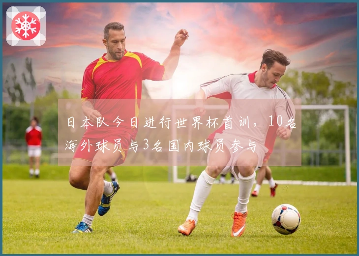 日本队今日进行世界杯首训，10名海外球员与3名国内球员参与
