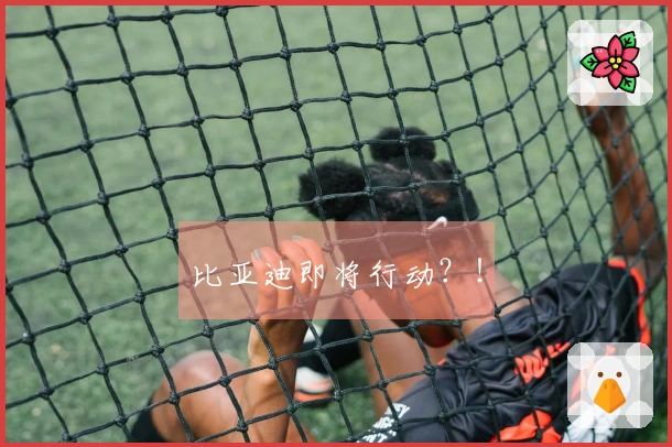 比亚迪即将行动？！